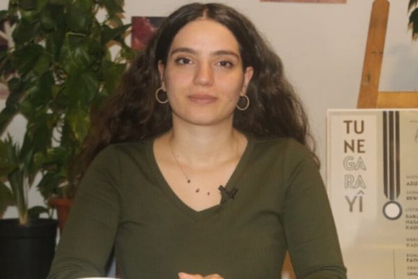 Ревшан Апайдын: курдский театр продолжает развиваться