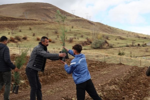 На горе Артос в Ване разбили сад в память Рожин Кабаиш