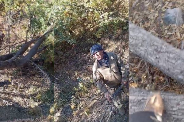 В сельской местности Ширнака продолжается вырубка деревьев