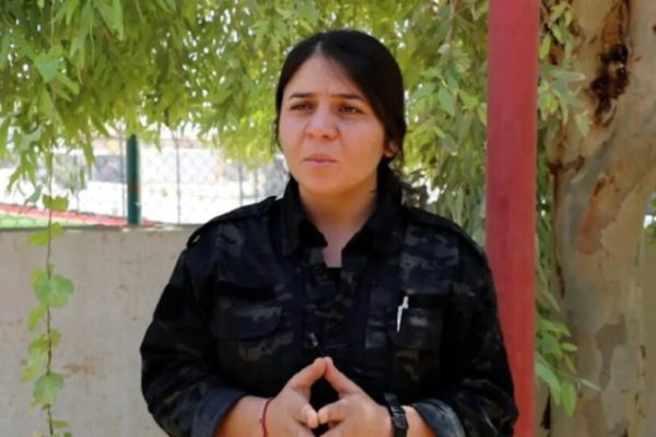 Виан Хебаби: мы продолжаем борьбу, опираясь на анализы Абдуллы Оджалана