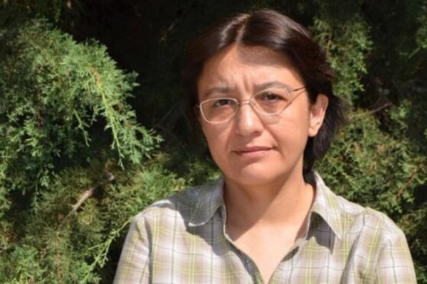 Шабнам Огуз: этот процесс — порог, определяющий будущее Турции