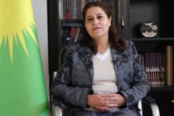 Амина Осе: ответственность за геноцид в Шейх-Максуде и Ашрафие лежит на Турции