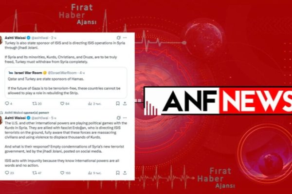 Ашти Ваисси: международные силы ведут политические игры за счёт курдов Сирии