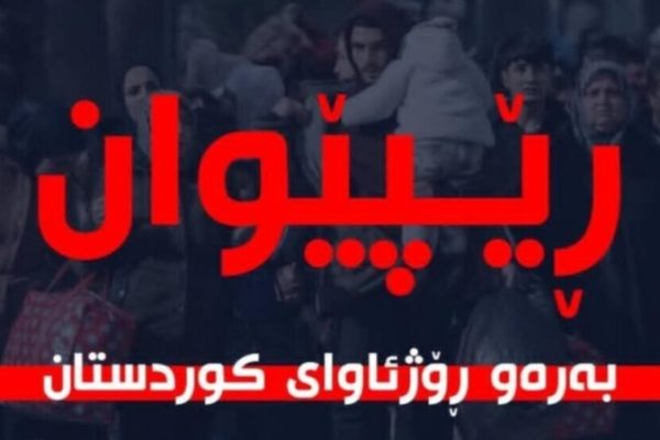 Гражданская ассамблея Южного Курдистана выступила с срочным призывом в поддержку Рожавы