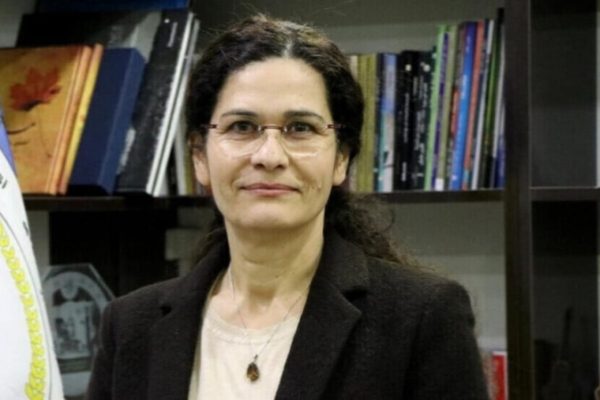 Ильхам Ахмед обратилась в СБ ООН и к Генсеку с призывом срочно вмешаться