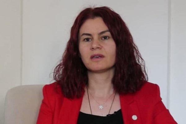 Сайигит: курды из всех частей Курдистана пришли к единству мнений