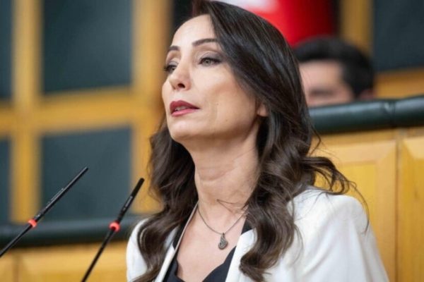 Тюлай Хатимогуллари: мирный процесс требует ответственности власти и активной роли оппозиции