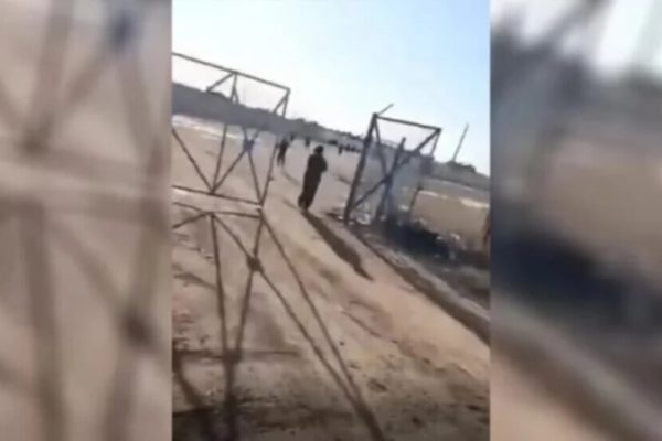 Видеокадры свидетельствуют об освобождении семей ИГИЛ из лагеря «Холь»