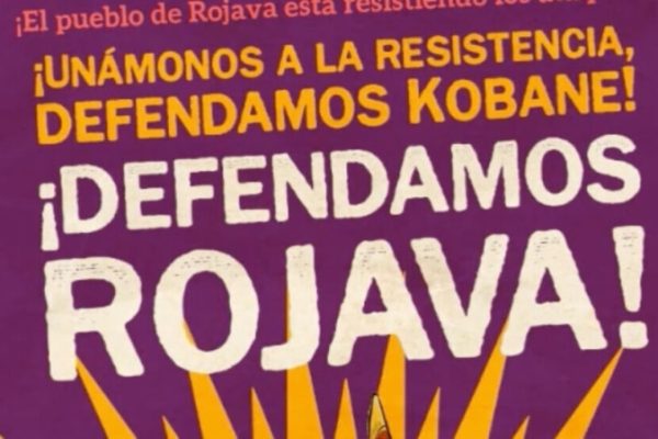 Женщины из Abya Yala призывают к солидарности с Рожавой