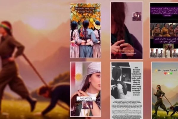 Женщины в социальных сетях: «Вместо одной косы вырастут миллионы»