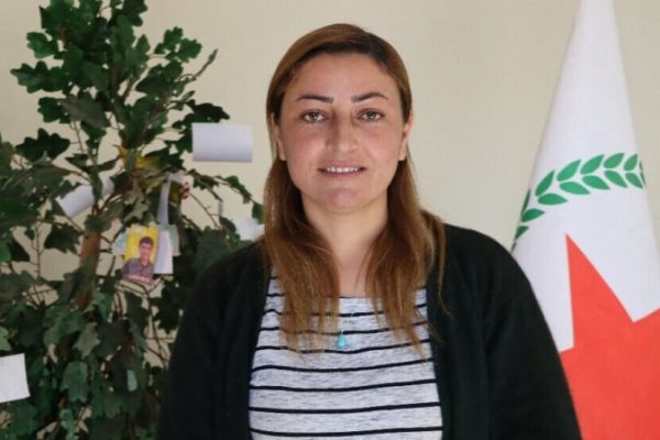 Беритан Исмаил: права курдов должны быть закреплены в Конституции Сирии