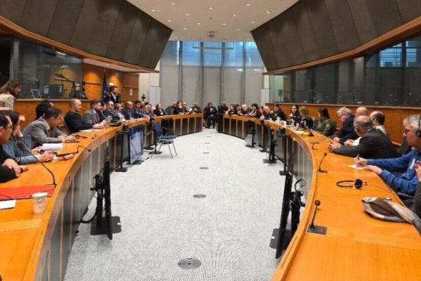 Европарламент обсудил с Ильхам Ахмед и Рохилат Африн гарантии безопасности Сирии и роль ЕС