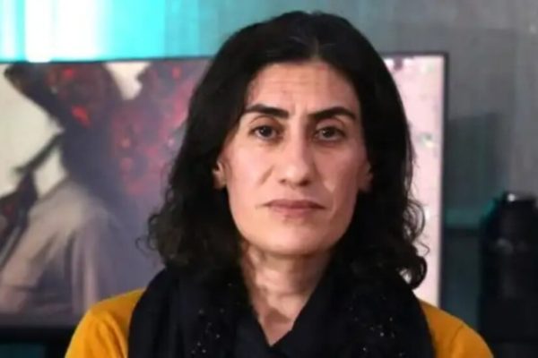 Гелавеж Эврин: партии готовы к любому сценарию в Иране