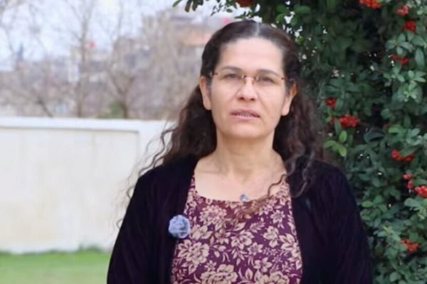 Ильхам Ахмед: успех процесса на севере определит будущее всего Курдистана