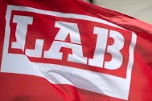 Профсоюз LAB выразил солидарность с курдами по случаю Науроза