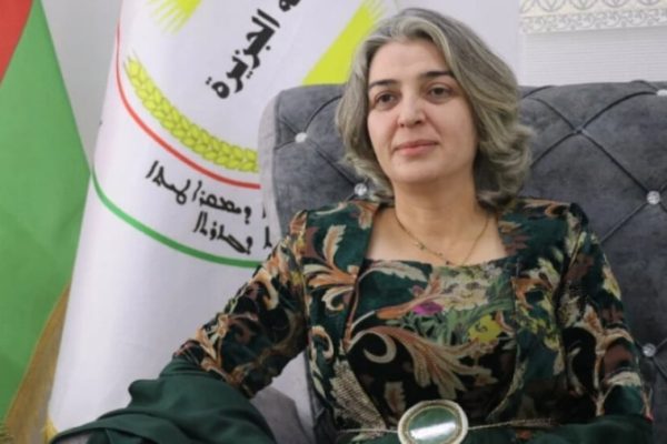 Жиян Хасан: достижения женщин должны быть закреплены законодательно