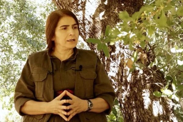 Чигдем Догу: процесс мира развивается на основе идей Абдуллы Оджалана