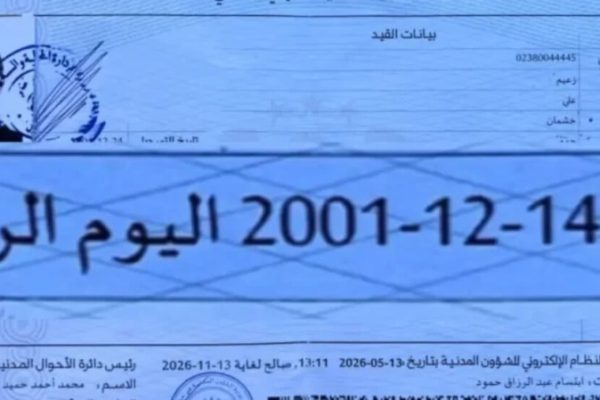 Ходатайство о пересмотре дела Заима Али