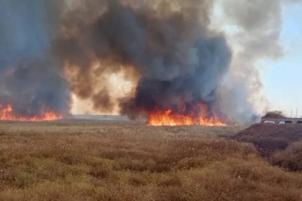 Масштабные пожары уничтожили около 7,5 тысячи гектаров сельхозугодий в районах Зиргана и Тель Тамира