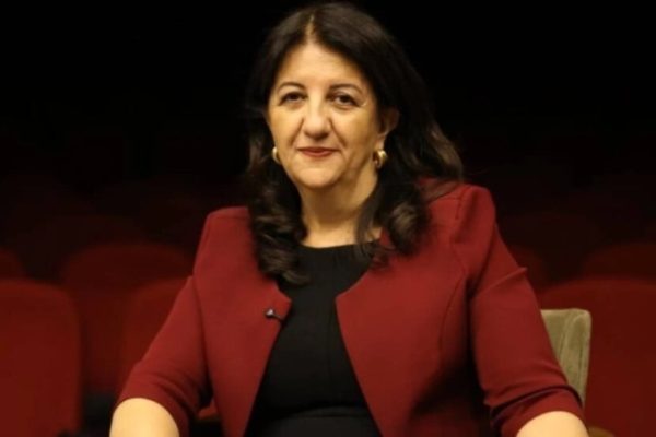 Первин Булдан: при наличии политической воли закон можно принять за пять дней