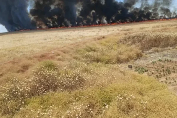 В Хасаке пожары уничтожили около 65 тысяч дунамов сельскохозяйственных угодий